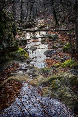 Прикрепленное изображение: IMG_9778 копия.jpg